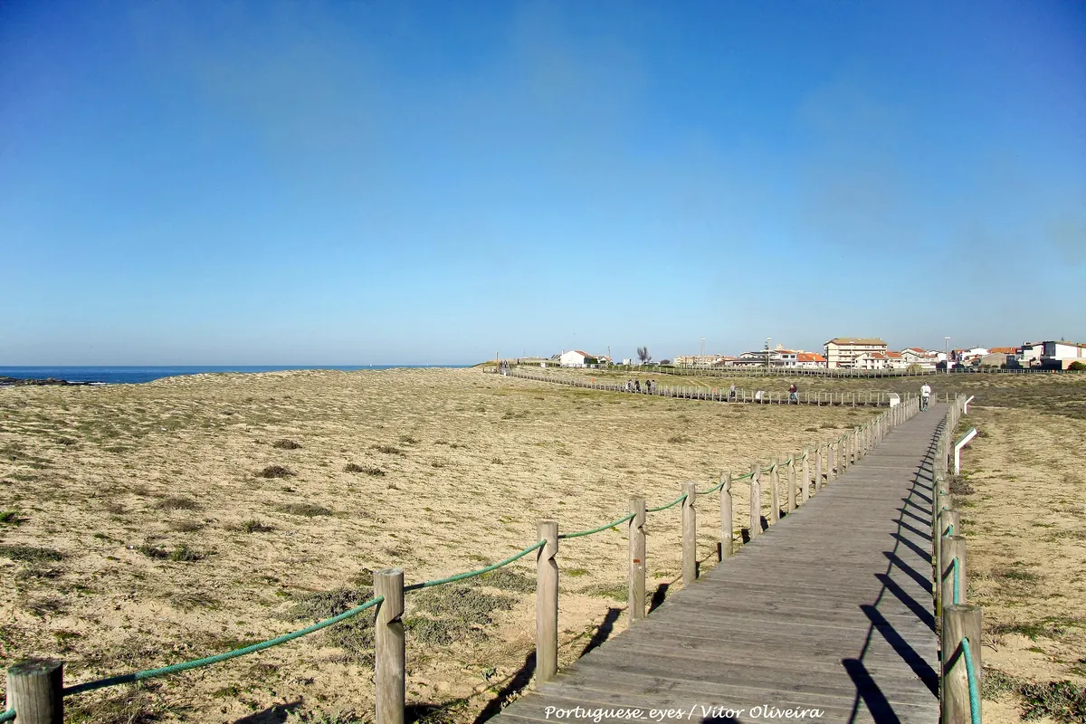 Coastal boardwalk through the dunes north of Porto